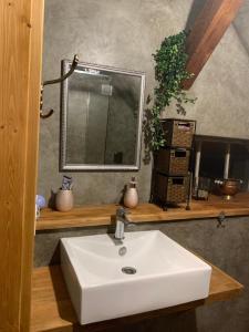 ein Badezimmer mit einem Waschbecken und einem Spiegel auf einem Regal in der Unterkunft Cesky Krumlov centrum ap 6 in Český Krumlov