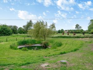 a field with a pond and cows in the distance at The Stables Cottage in Hemingby