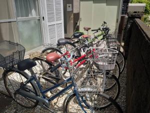 Jízda na kole v ubytování RIVERSIDE INN KAMAKURA nebo okolí