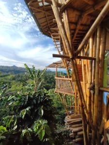una casa de bambú en medio de una plantación de cacao en El Turpial, en Jericó
