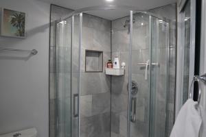 baño con cabina de ducha con puerta de cristal en Patio privé, hébergement équipé et spacieux. en Hamilton
