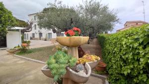 Ein Garten an der Unterkunft Apartments in Villa Isabel