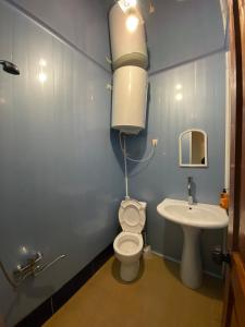 a bathroom with a toilet and a sink at Guesthouse SVANURI SAKHLI in Ushguli