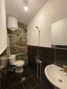 Gallery image of Guesthouse SVANURI SAKHLI in Ushguli