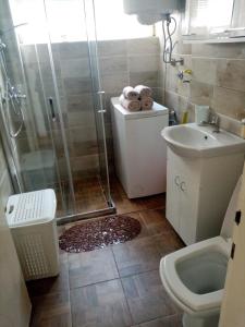 ein Bad mit einer Dusche, einem WC und einem Waschbecken in der Unterkunft Martin in Belgrad