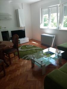 ein Wohnzimmer mit einem grünen Sofa und einem Tisch in der Unterkunft Martin in Belgrad