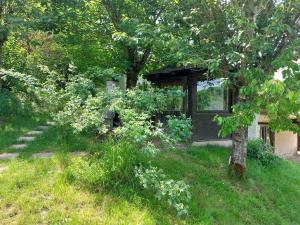 una pequeña casa en medio de un campo de hierba en Gite de Moulin Maurt en Xertigny