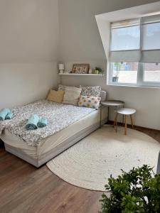 Schlafzimmer mit einem Bett mit einem Teppich und einem Fenster in der Unterkunft Dockview atelier in Burgas City