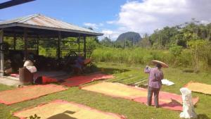 a group of people standing in a field at Mulu Helena Homestay in Mulu