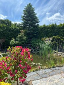 Billede fra billedgalleriet på Mazury na Śląsku i Boguchwałowice