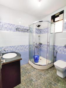 a bathroom with a shower with a toilet and a sink at Hotel Siesta De Goa in Varca