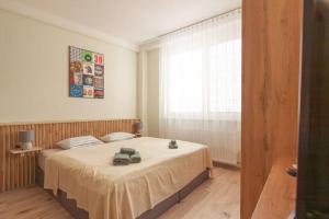 a bedroom with a bed and a window at Vysoká Apartman EMF/STP in Bratislava