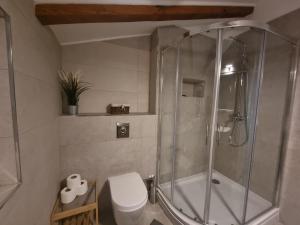 ein Bad mit einer Dusche und einem WC in der Unterkunft Apartments Faust in Prvić Šepurine