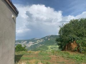 旅馆周边自然景观