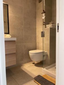 a bathroom with a toilet and a glass shower at Luxury Central Apartment in Plovdiv