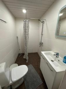 a bathroom with a toilet and a sink and a shower at Iiris in Imatra