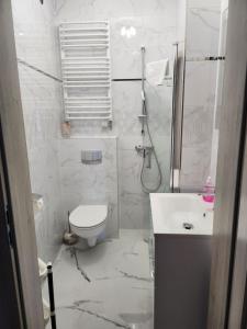 Koupelna v ubytování Apartament Piłsudskiego + 3 fotografie