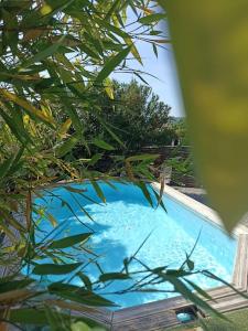 a view of a blue swimming pool through a tree at Superbe Villa in Villeneuve