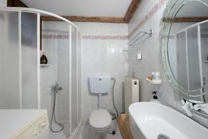 Koupelna v ubytování Chalet Renata 1 Livadi Arachovas + 12 fotografií