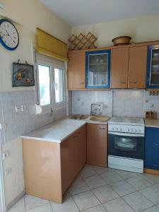 Dapur atau dapur kecil di Blue House