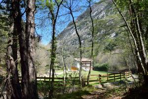 a house in the woods with a fence and a mountain at Country House Foglie d'erba in Calavino