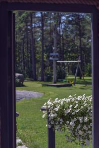 ein Fenster mit Blick auf einen Park mit einer Schaukel in der Unterkunft Nordicstay Noarootsi Saunahouse in Paslepa