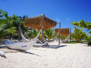 una fila di amache su una spiaggia con palme di Le Pirate Island - Adults Only a Labuan Bajo