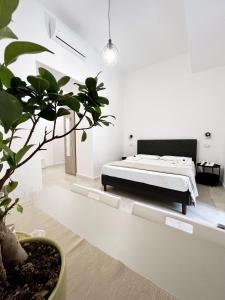 um quarto com uma cama e um vaso de plantas em B&B Numero5 em Castellammare di Stabia