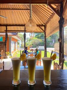 tres vasos de cerveza sentados en una mesa en Badini Homestay Pemuteran Bali en Pemuteran