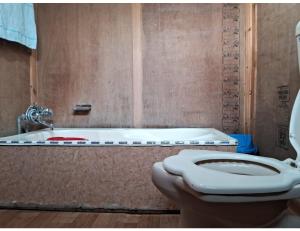 a bathroom with a toilet and a bath tub at House Boat Moti Mahal, Srinagar in Srinagar