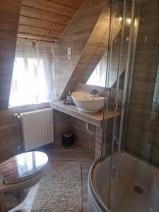 ein Bad mit einem Waschbecken, einem WC und einer Dusche in der Unterkunft Flamingó Apartman in Balatonszárszó