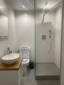 La salle de bains est pourvue d'une douche, d'un lavabo et de toilettes. dans l'établissement Apartament Lux-centrum, à Gliwice