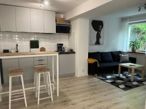 cocina y sala de estar con sofá y mesa en Apartament Soplicy 17, en Toruń