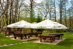 a group of picnic tables with umbrellas in a park at Pensiunea Restaurant Vándor in Cîmpu Cetăţii +77 photos