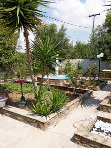 a garden with palm trees and a swimming pool at Villa Leah Apartment in Yerakiní