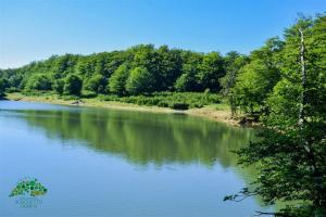 a view of a river with trees in the background at B&B Campo Sportivo in Taurianova