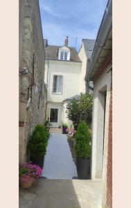 un callejón con macetas delante de una casa en Studio Amboise centre historique, en Amboise