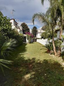 podwórko z palmą i domem w obiekcie Villa Colle Circeo 1° w mieście San Felice Circeo