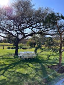 una mesa de picnic bajo un árbol en un campo en Monte Video-Deo Gloria en Champagne Valley