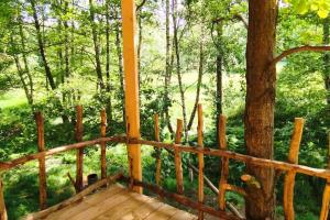 Un jardín fuera de Treehouse LEA