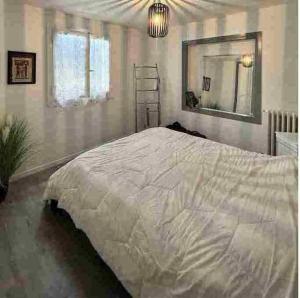 1 dormitorio con 1 cama blanca grande y espejo en Romantic villa in the south of France with a private garden , pool and a terrace, en Niza