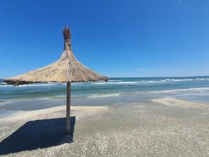 a straw umbrella on a sandy beach near the ocean at Studio Alex in Năvodari