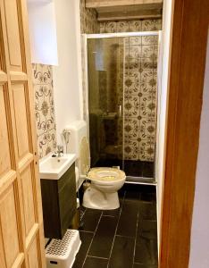 a bathroom with a toilet and a shower and a sink at Hacienda Verde in Szentes