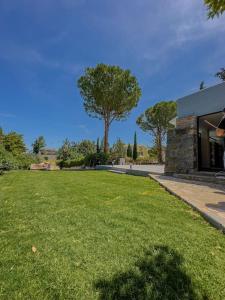 a green yard with a building and a tree at Lemon Tree Villa in Chalkida