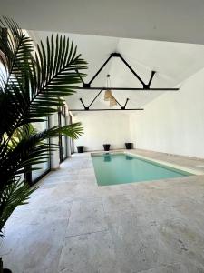 una piscina in una stanza bianca con una pianta di Manoir Les Feuillantines Piscine & Spa a Isques