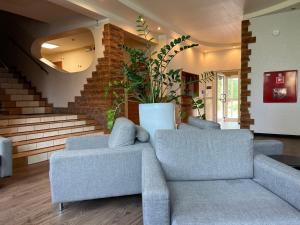a living room with two couches and a plant at Płonia Resort in Szczecin
