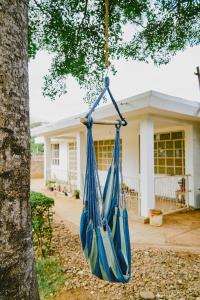 a blue hammock hanging from a tree in front of a house at Karibu Africa Home in Moshi