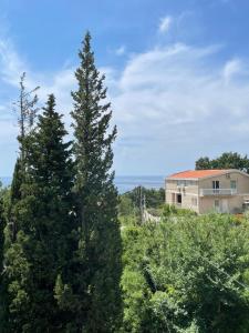 two tall pine trees in front of a house at Apartman Matija in Sutomore