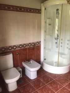 uma casa de banho com um WC, um chuveiro e um lavatório. em Casa de Romaxe em Muros
