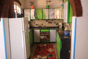 - une cuisine avec des placards verts et un réfrigérateur dans l'établissement Flower of Life, à Louxor